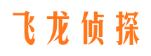 大柴旦侦探社